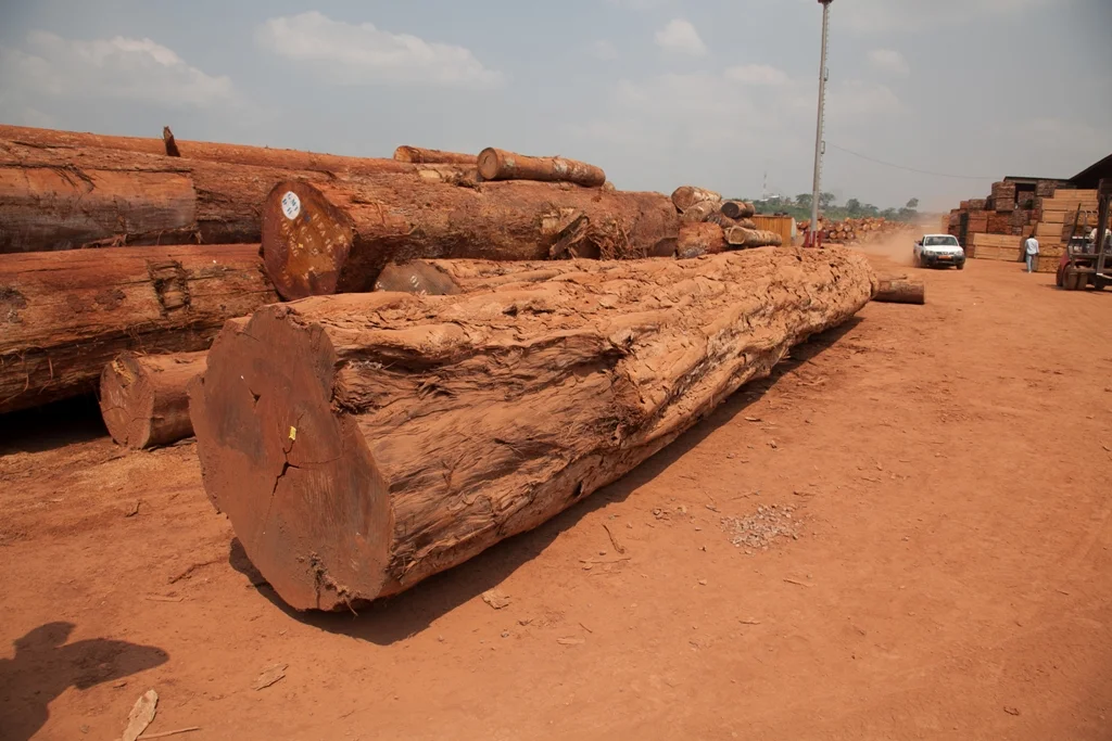 Distribution Channels — Exotic Hardwood Flooring & Lumber