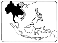 Teak SE Asia.gif