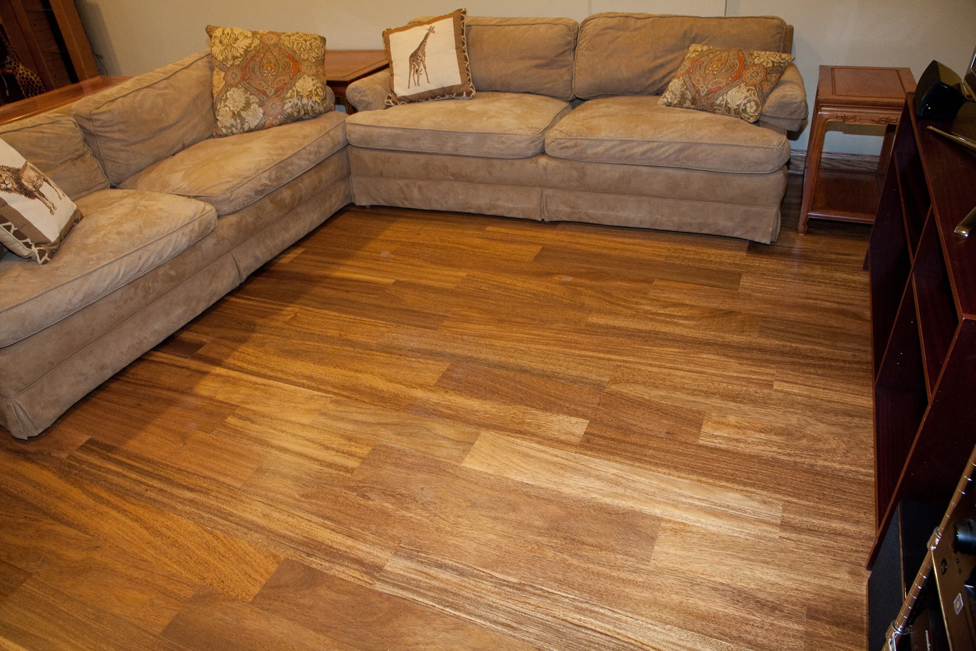 Albizzia Basement-3964.jpg