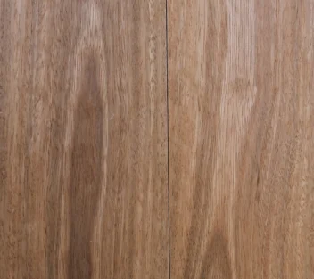 Spotted-Gum-3.jpg