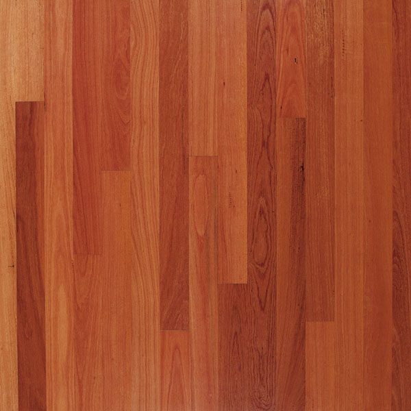 Blue Sydney Gum — Exotic Hardwood Flooring & Lumber