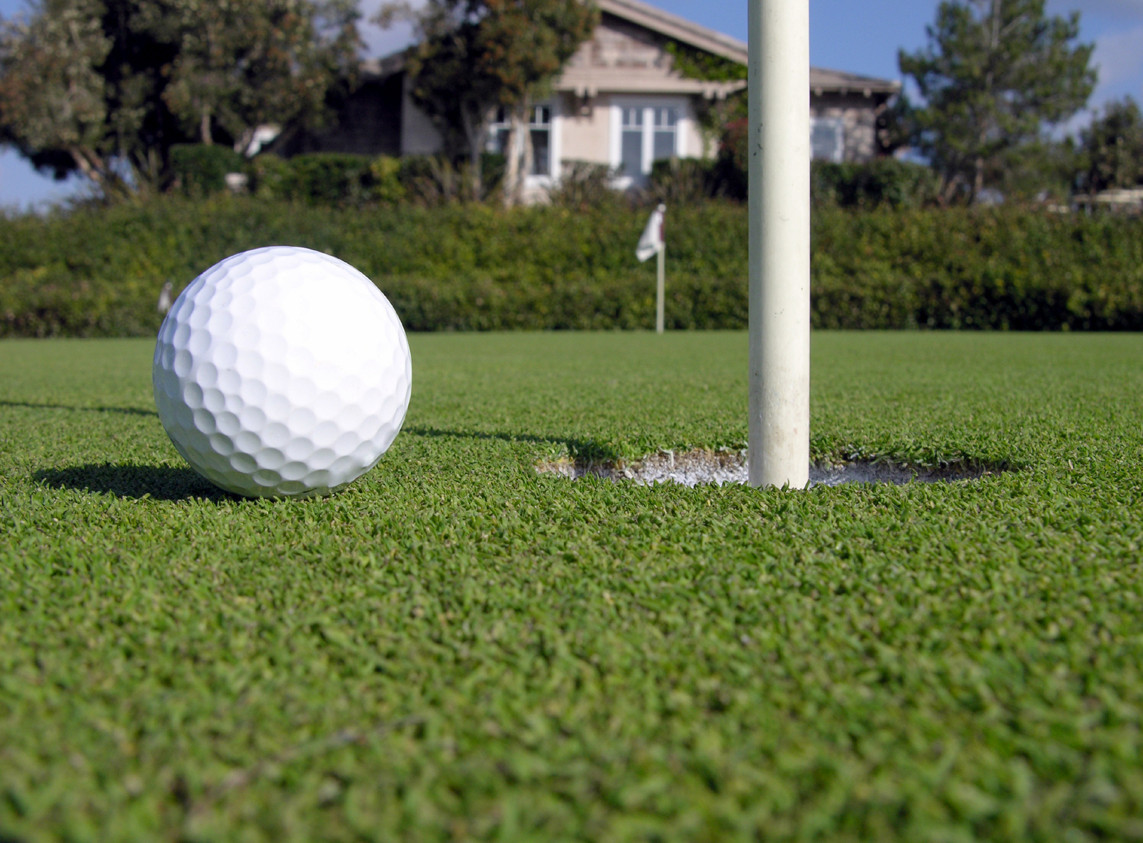 GOlf Ball and Pin.jpg
