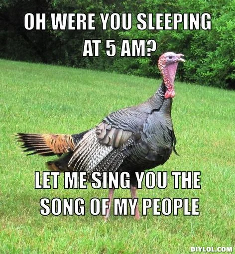 For all those feeling bad about eating a metric ton of turkey tomorrow..