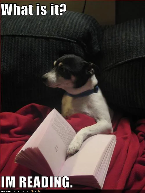 funny-dog-pictures-im-reading.jpg