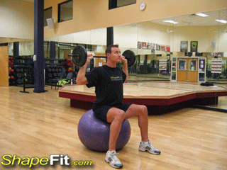 exercise-ball-shoulders-barbell-behind-neck-press.gif
