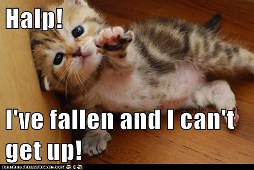 Get stronger or get cuter....clearly the only two solutions for helping you out of a jam.