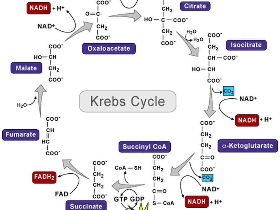 Consider this diagram your "nerdification" for the day.