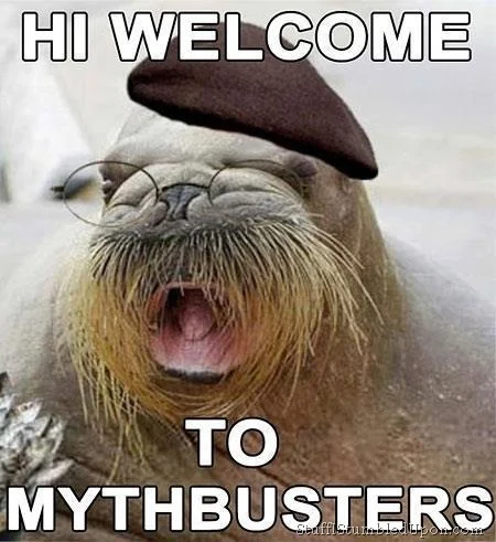 img-1442209-1-Mythbusters-meme-joke-funny-lol_thumb.jpg
