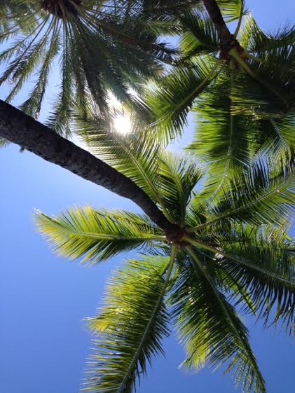 If you were wondering, this would be your view if you were performing dead bugs in the Bahamas.