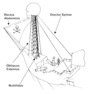 Here's how your spine actually functions....if it were a pirate ship.