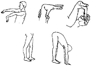 1. Hyperextend your elbows; 2. Passively touch your thumb to your forearm; 3. Passively hyperextend your fingers; 4. Hyperextend your knees; 5. Palm the floor.
