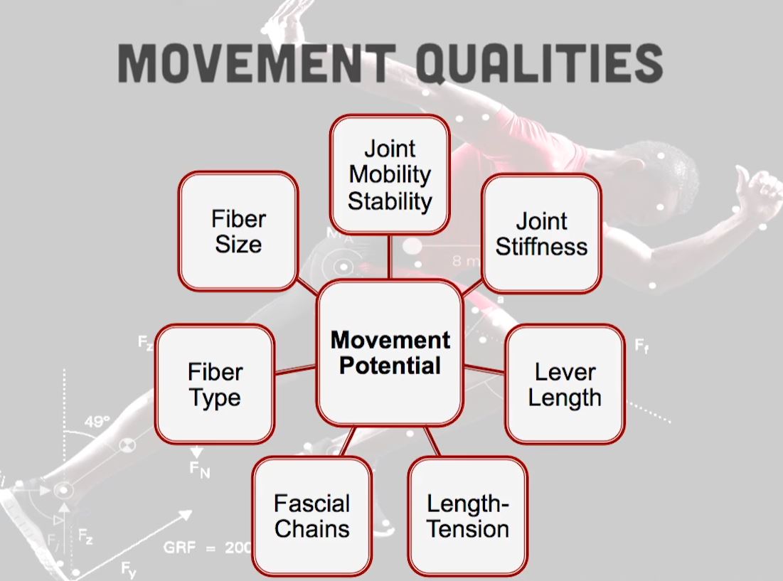 There's a lot that goes into how we move, h/t to Joel Jameison.
