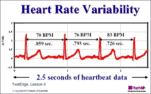HRV is one of the best measures of an increase in cardiovascular fitness. #restanddigest