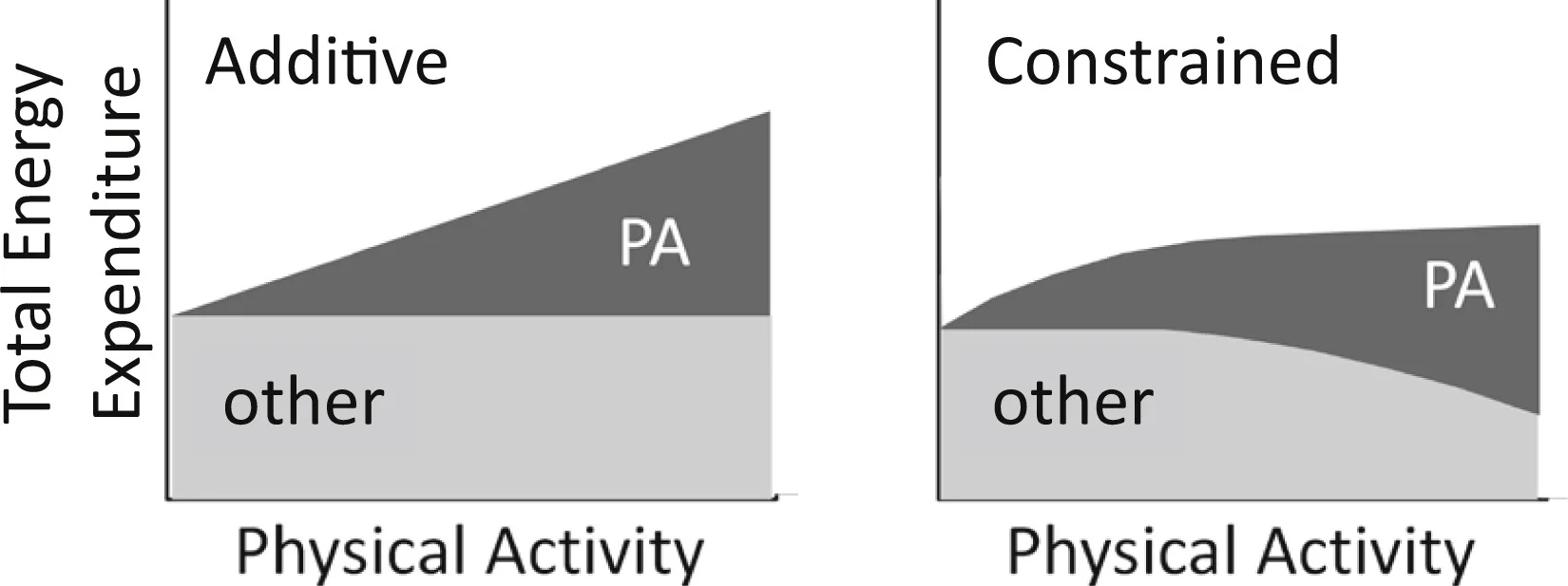 On the left - the calorie burn we think happens when we work hard. On the right - what the relationship actually looks like. Figure source: O'Neal, et al. 2017