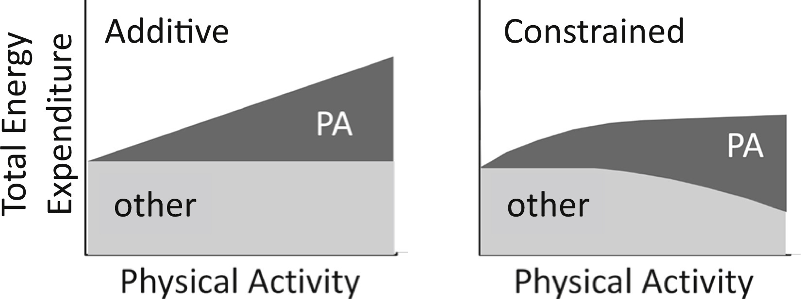 On the left - the calorie burn we think happens when we work hard. On the right - what the relationship actually looks like. Figure source: O'Neal, et al. 2017