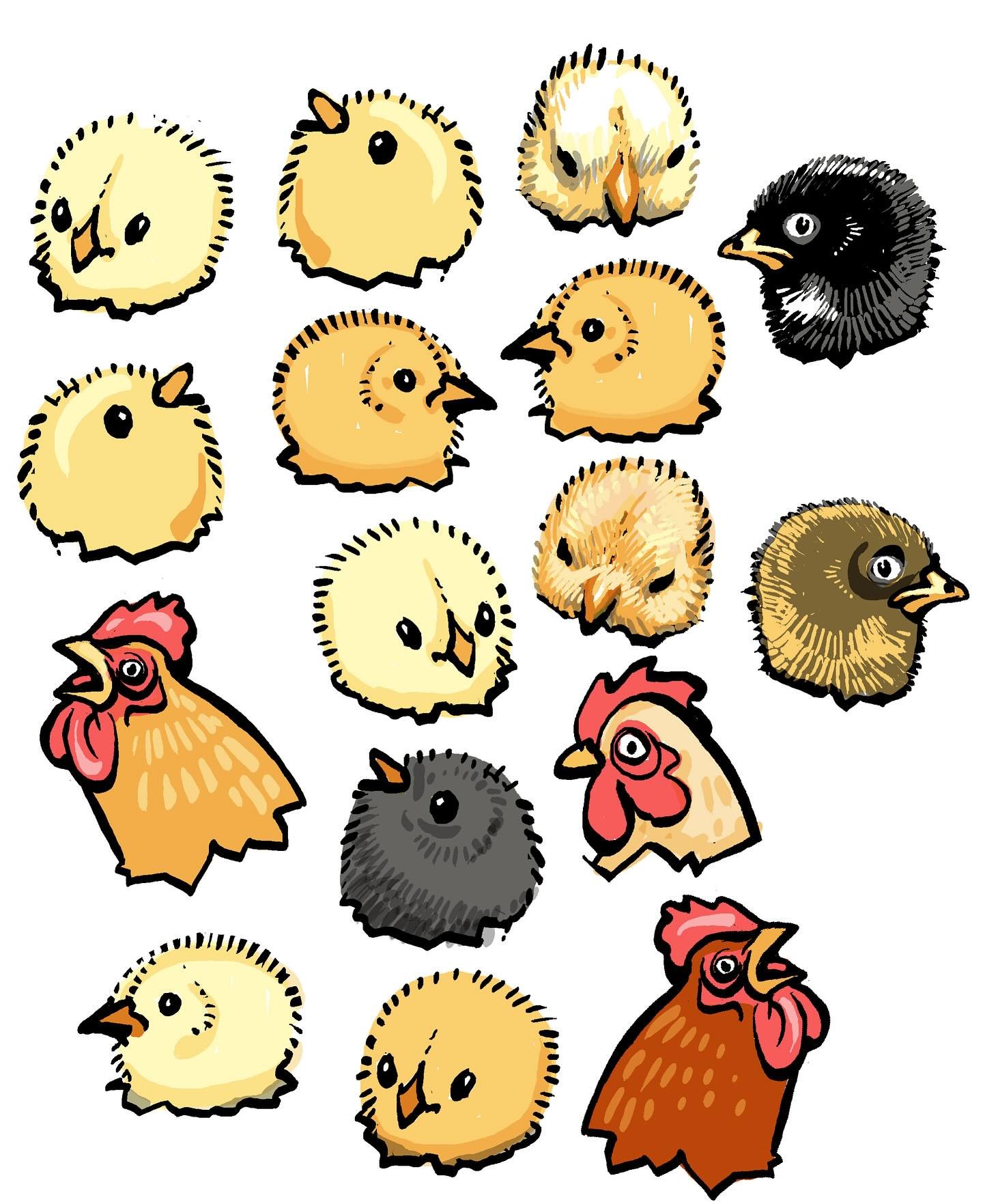 I was searching my Dropbox for &ldquo;birds&rdquo; and found this. Why did I create this? For what???