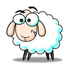 sheep.jpg