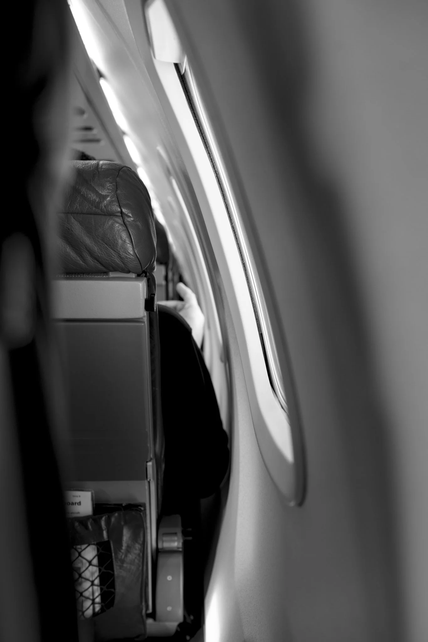 _DSC0111.jpg