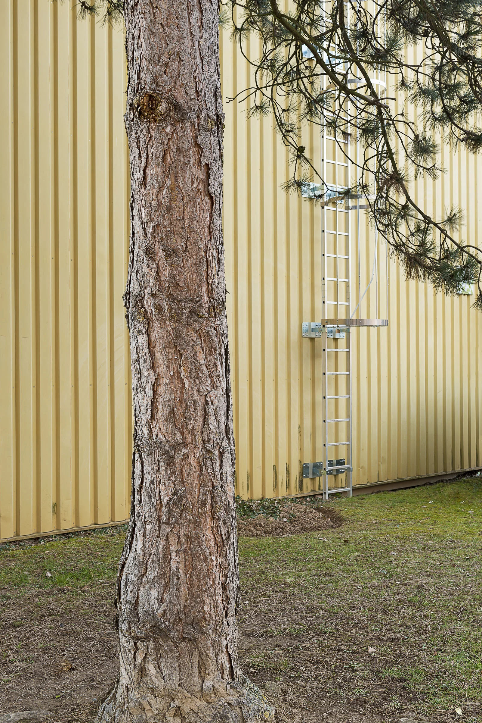 _PPP0023.jpg