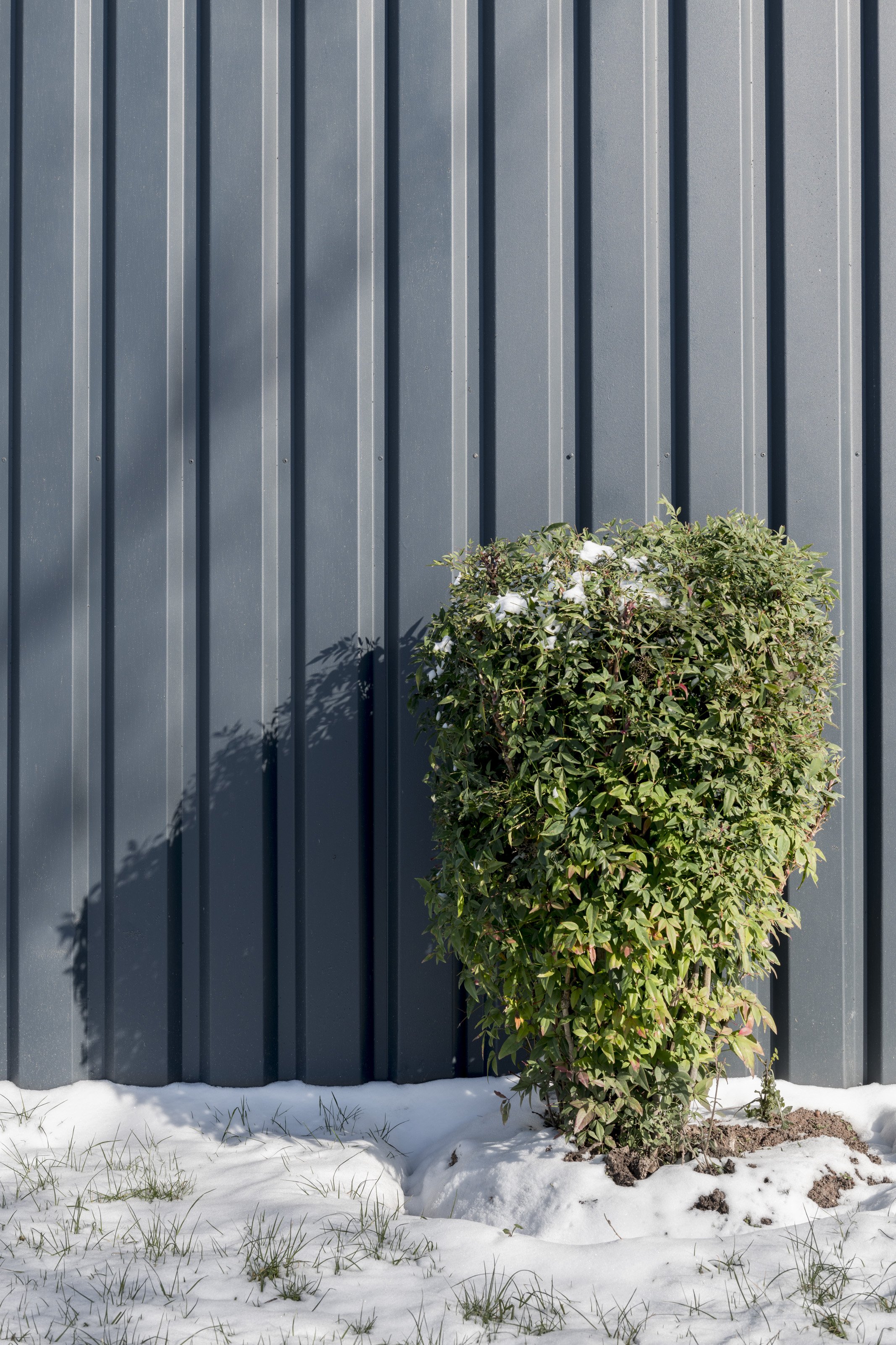 Arbres_210211_PPP4593.jpg