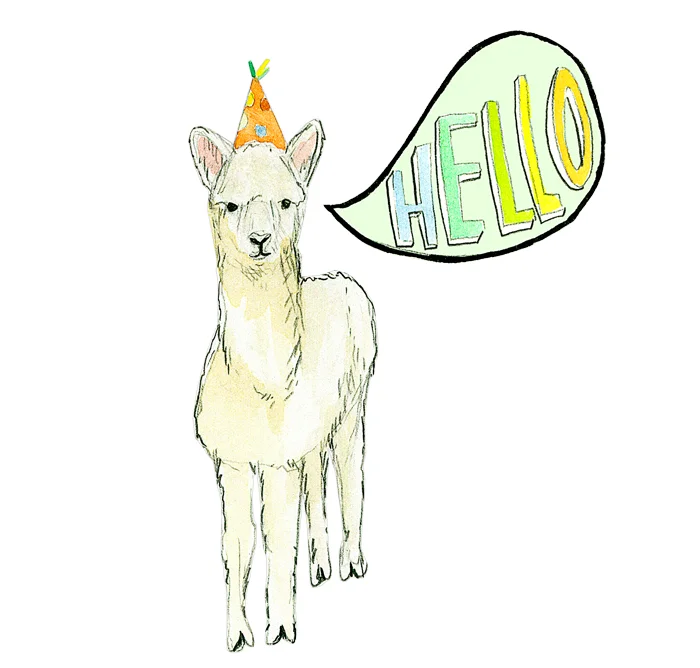 SUELY_CELEBRATIONLAMA.jpg