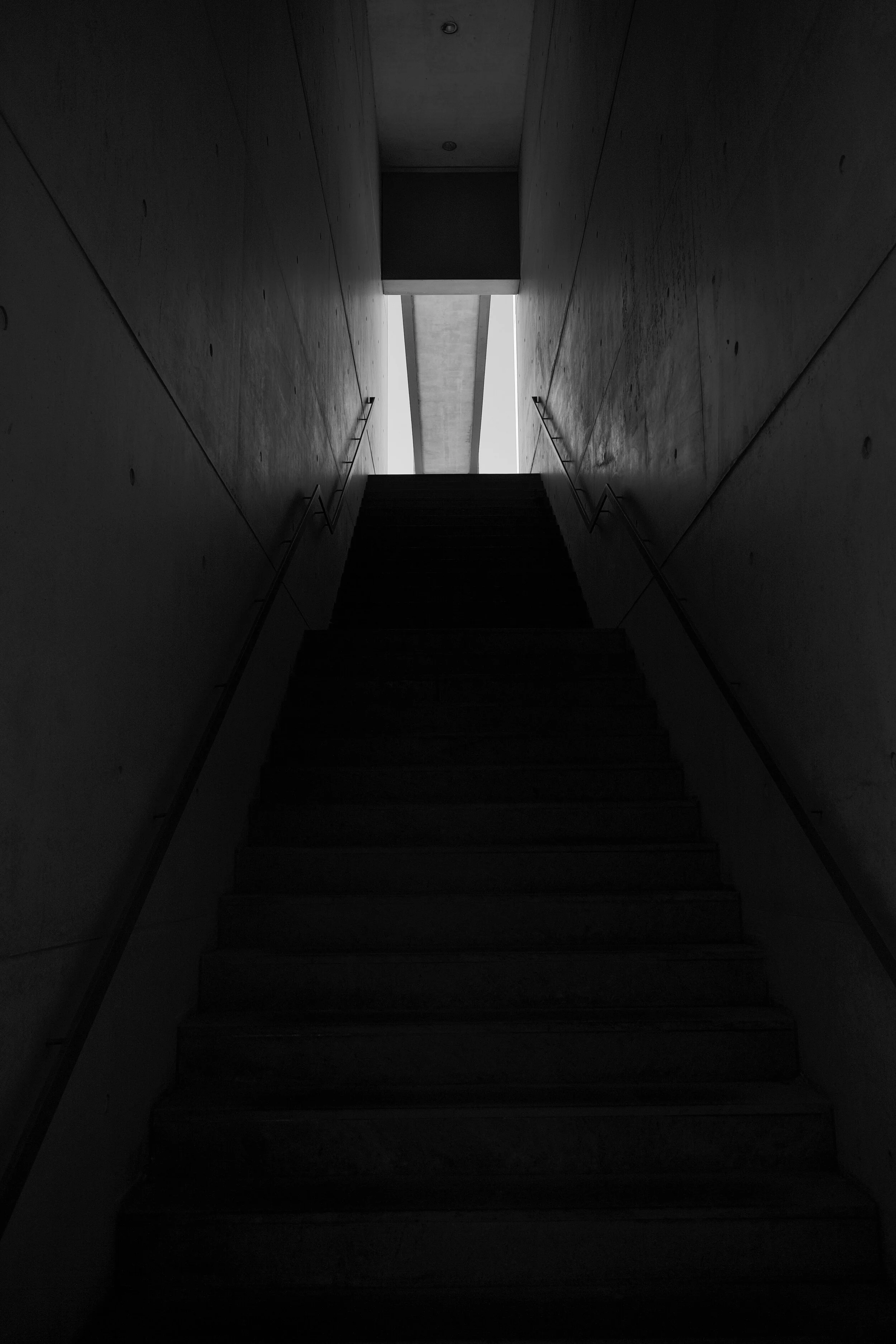 L1008953.jpg
