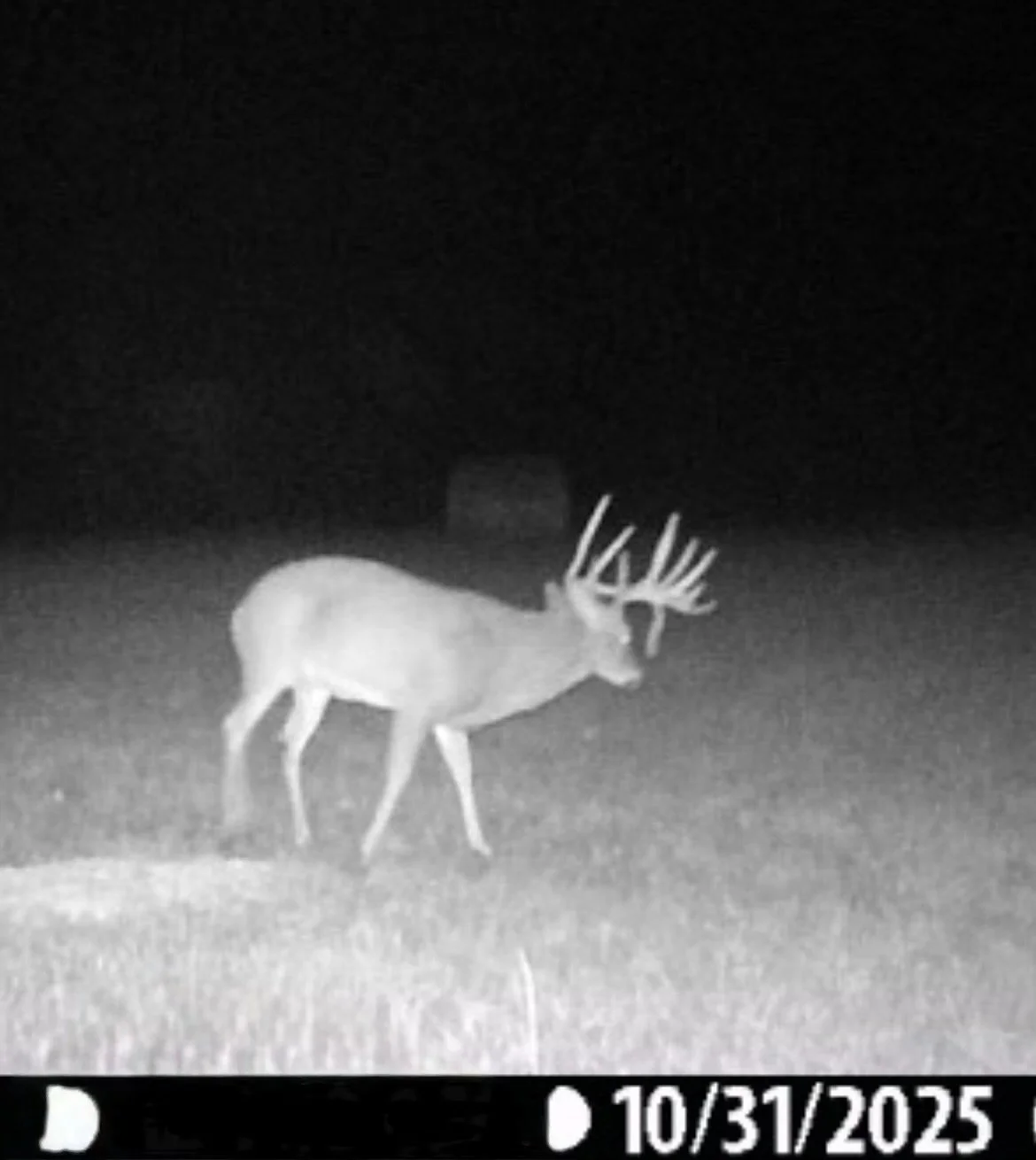 Screenshot 2025-10-31 at 6.35.18 AM.jpeg