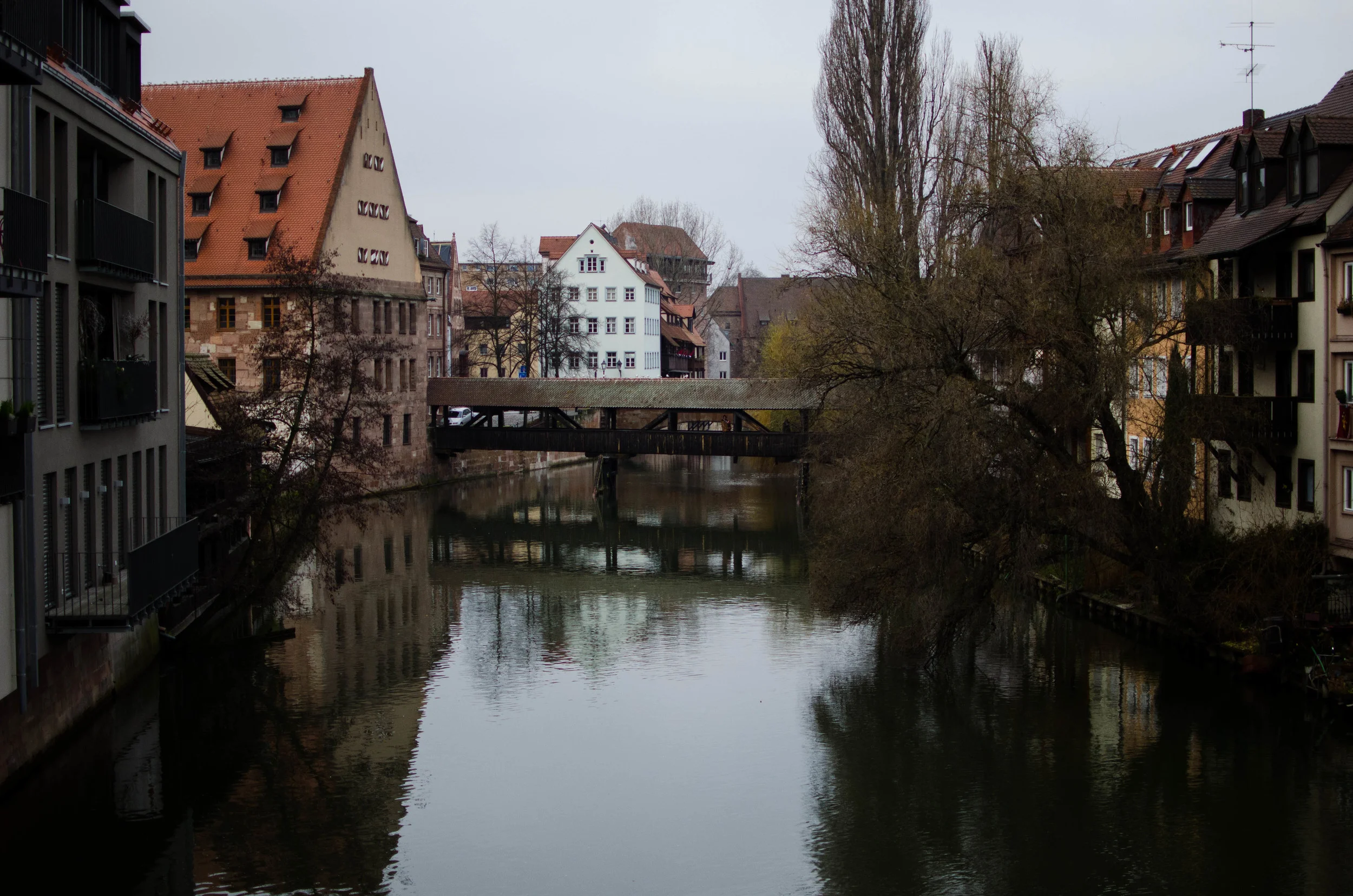 DSC_4040.jpg