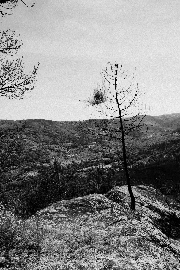 image8-44.jpg