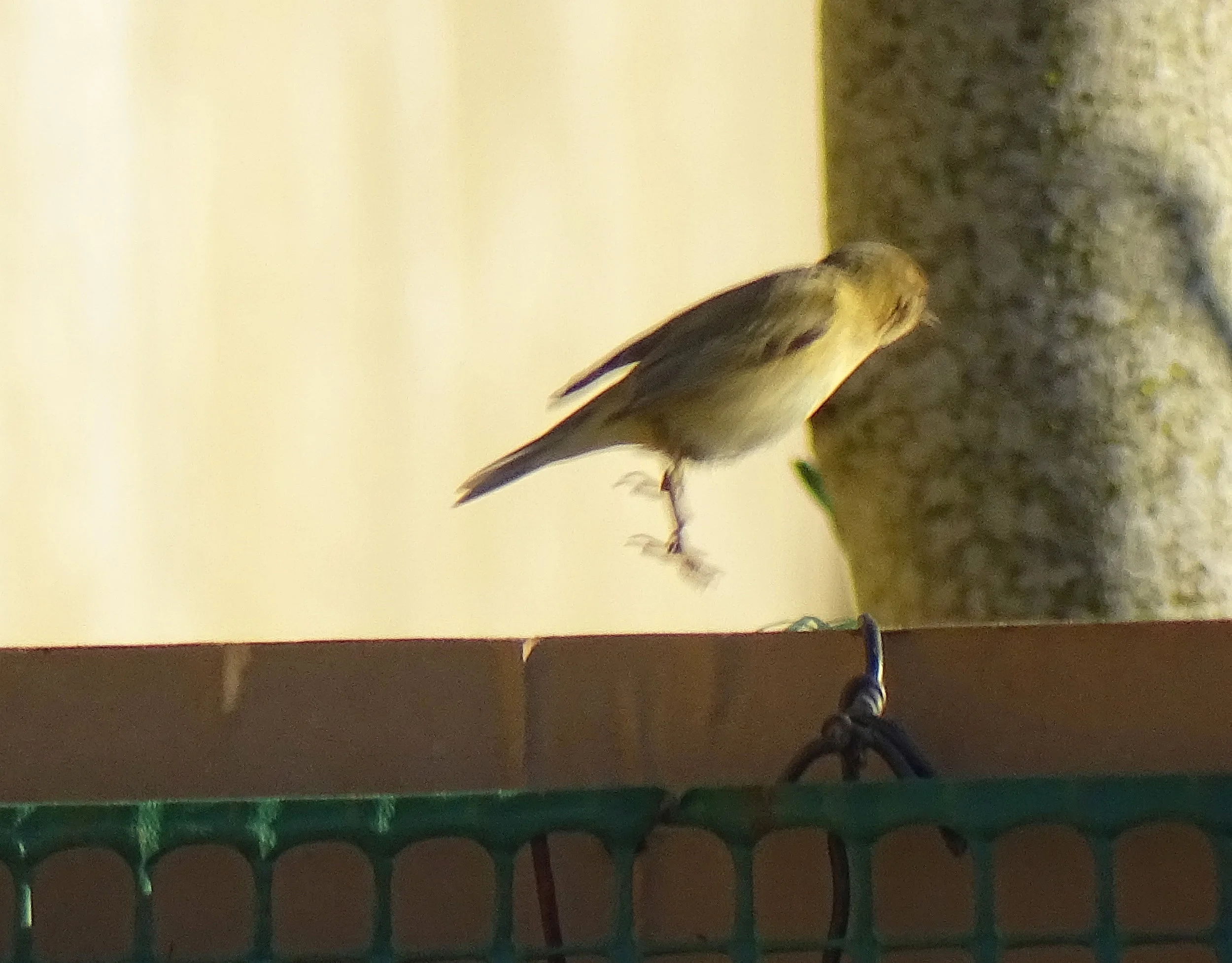 DSC01789.JPG