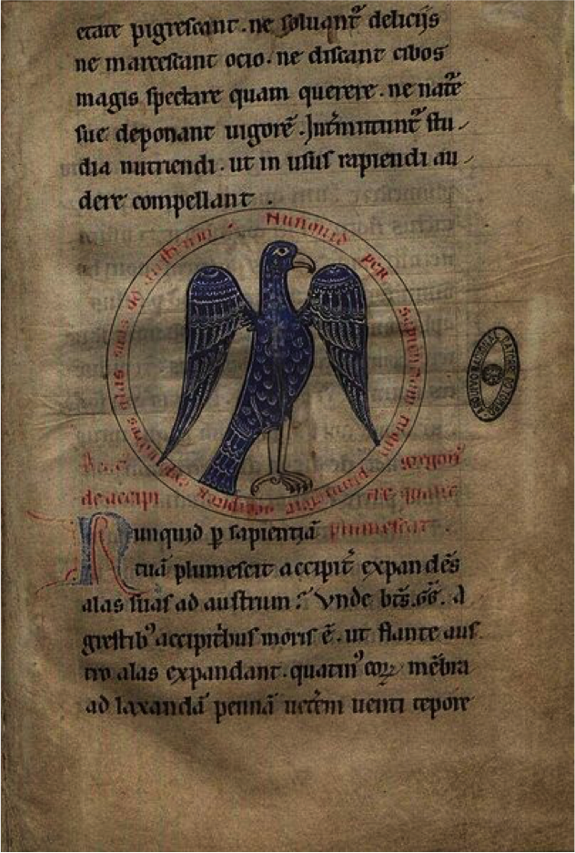 Figura 3. Ilustração de um gavião apresentada na obra Livro das Aves (Fouilloy, 1184) Autor: Egeas Fonte: https://commons.wikimedia.org/wiki/File:Livro_das_Aves_0033_De_Accipitre.jpg