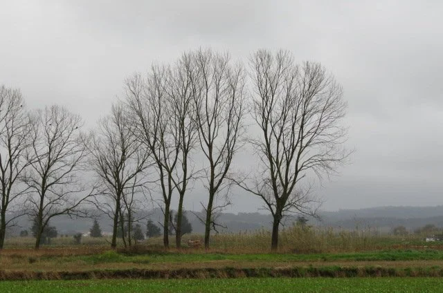 206.jpg