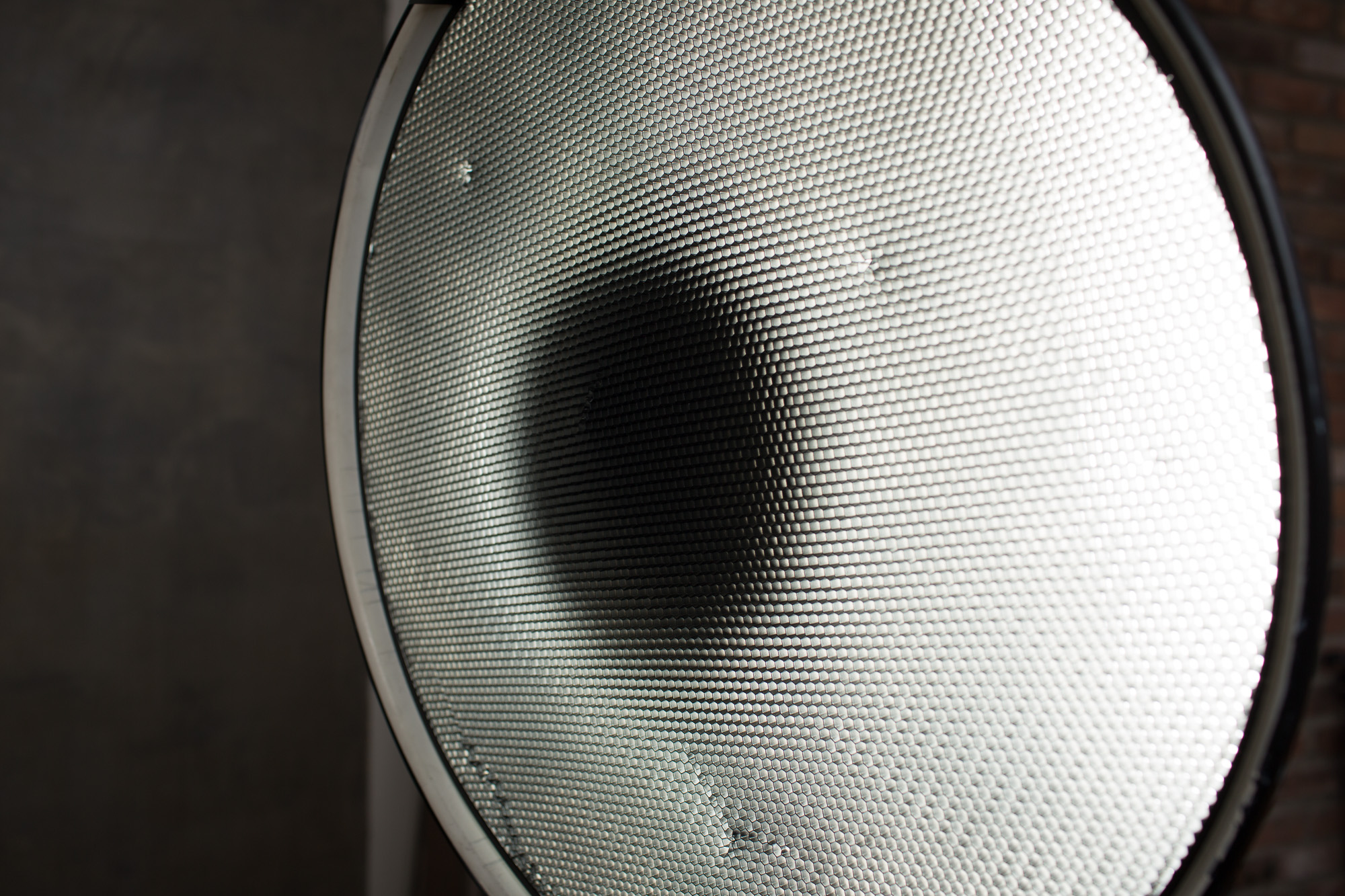 Beauty dish with grid