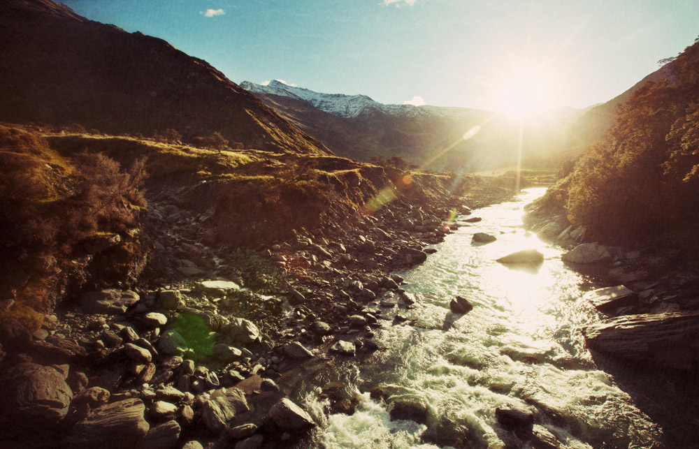 New Zealand, 2011