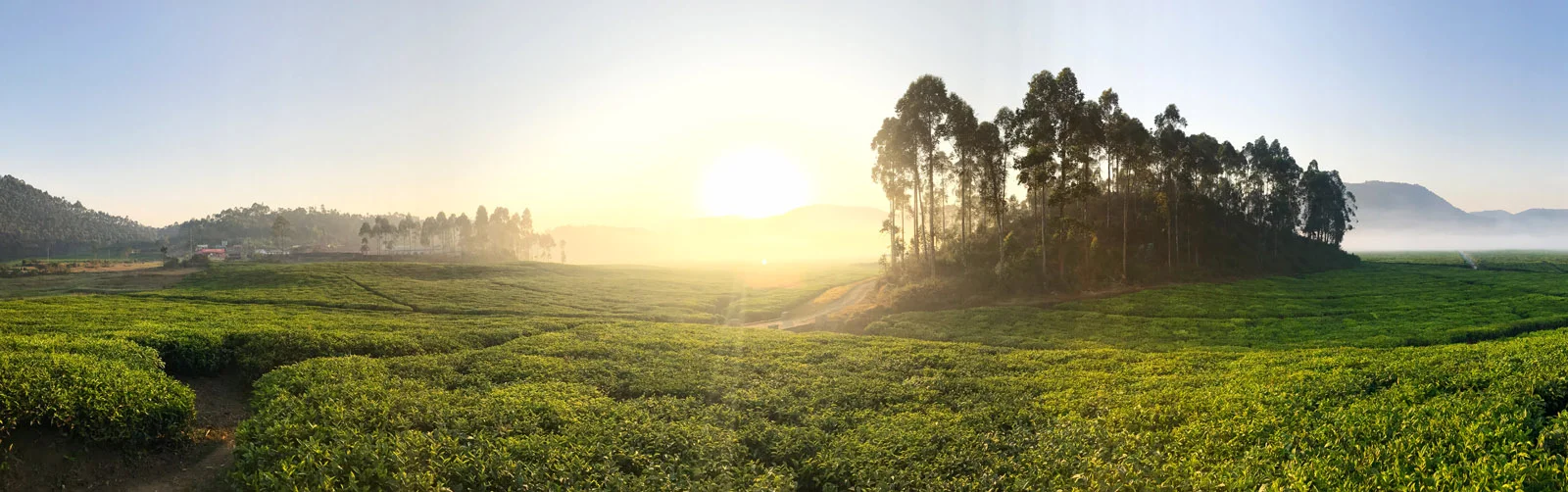 iPhone 7 Camera Review: Rwanda