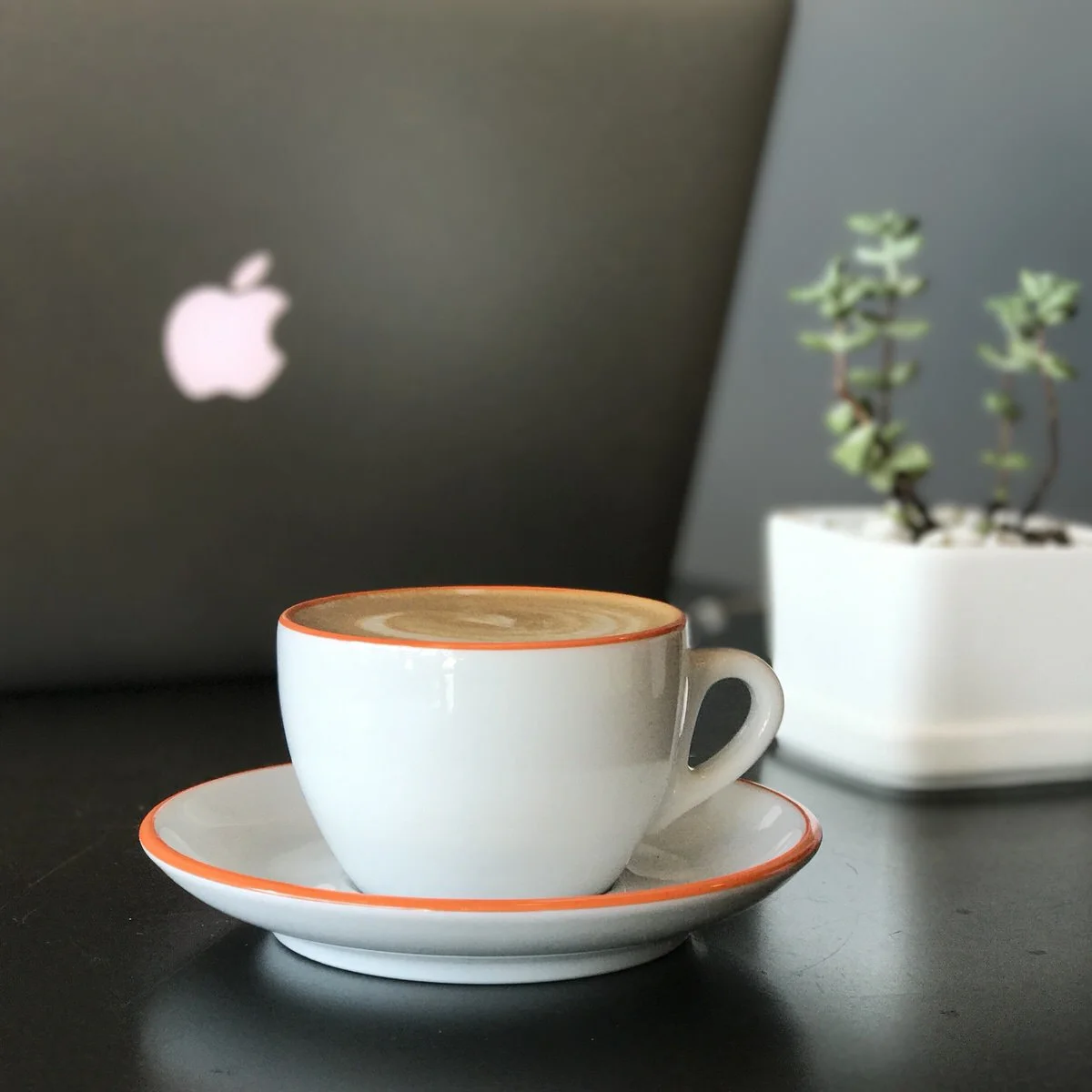 iPhone 7 Plus in Portrait Mode, unedited. 