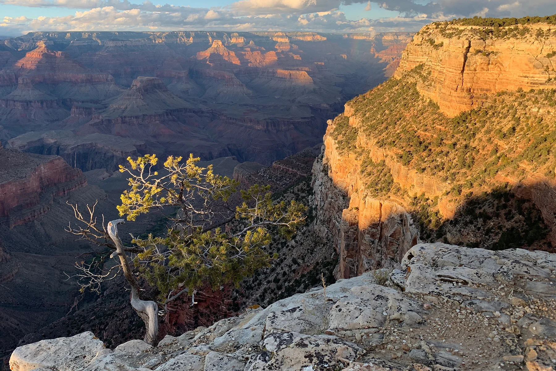 Shot on iPhone XR w/ Smart HDR.
