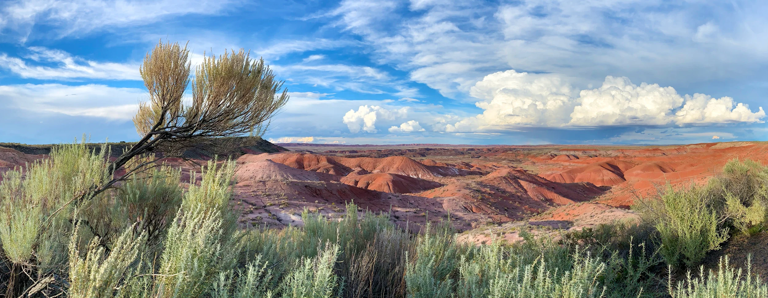 iPhone XR: Great for Everyone