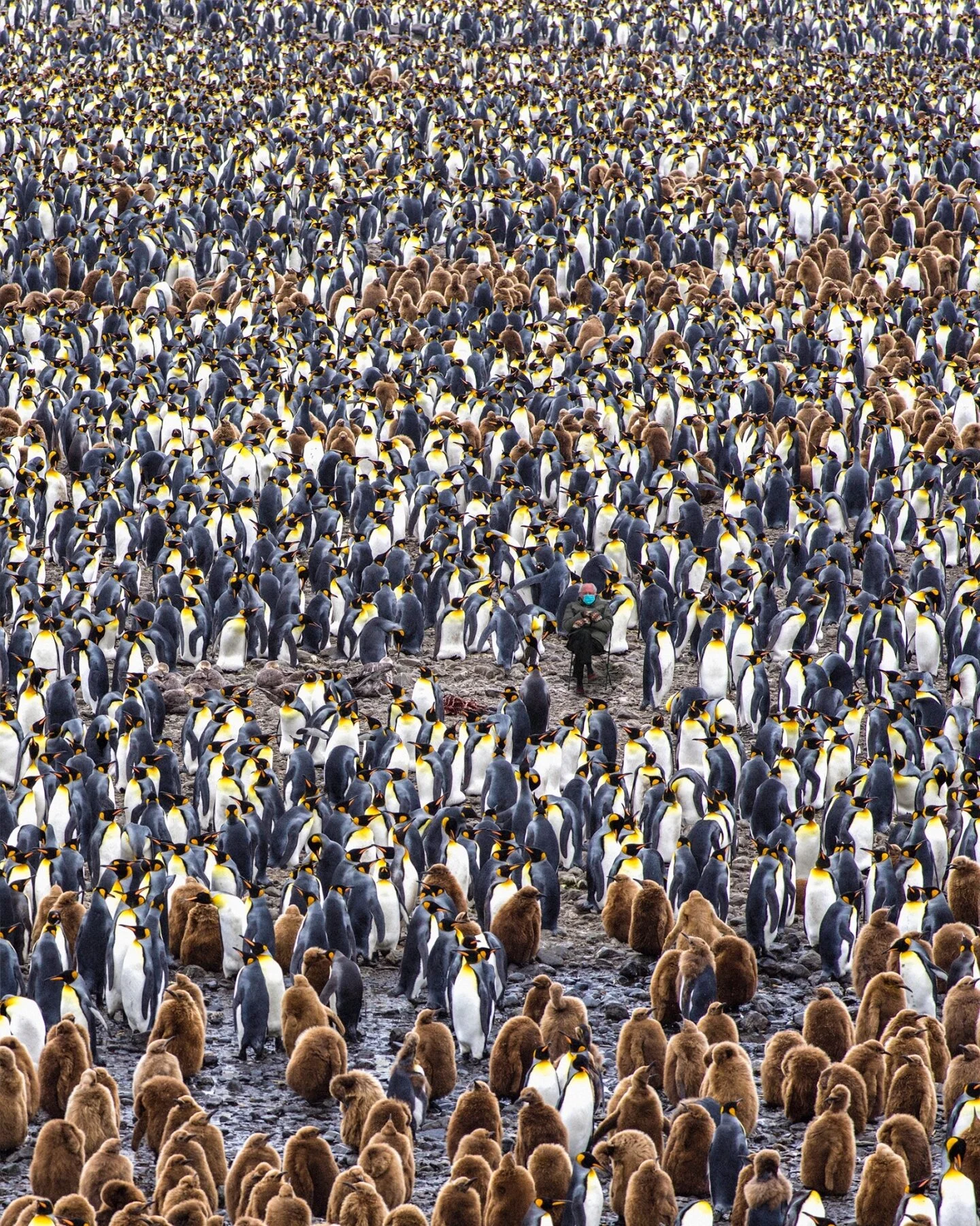 Can you find him? < swipe >  #berniesanders