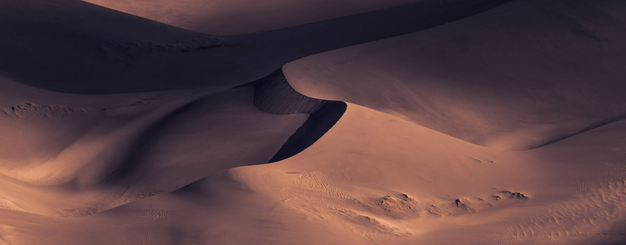 iPad Pro with M1 for photographers