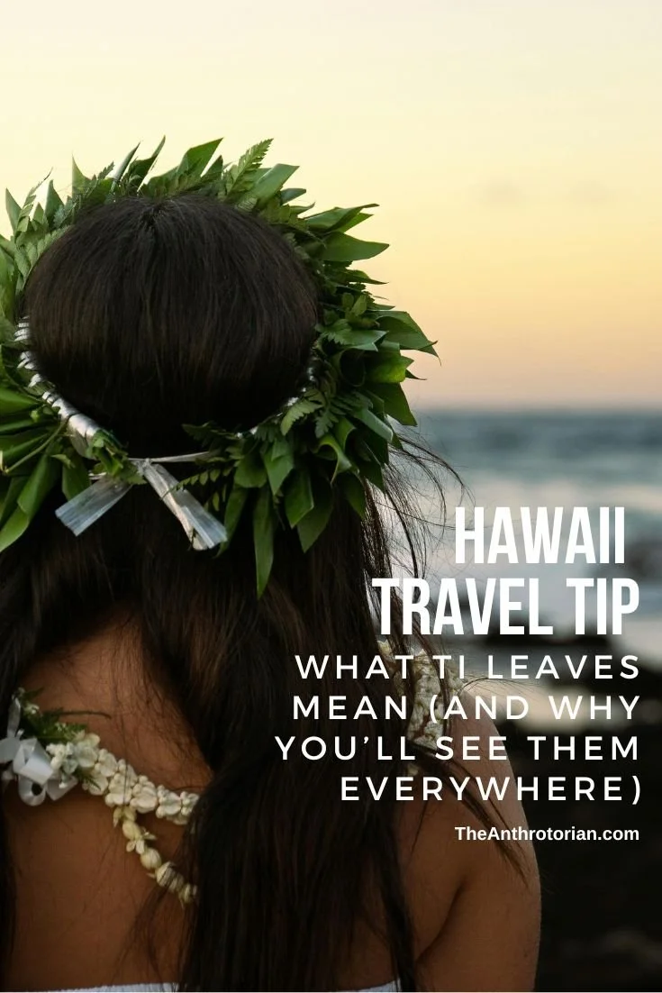 What do Ti Leaves mean to Hawaiians.jpg