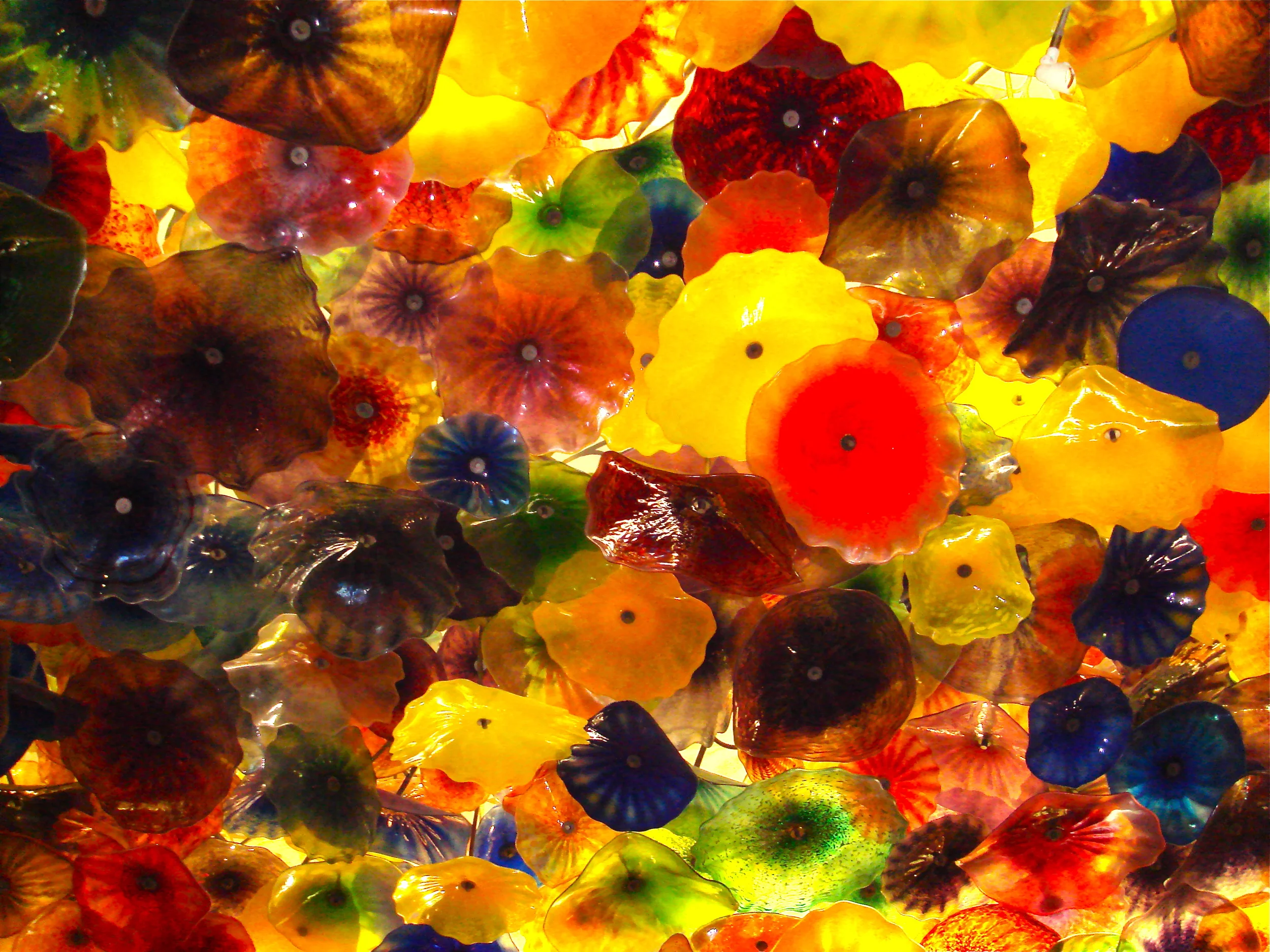 Fiori di Como — The Anthrotorian