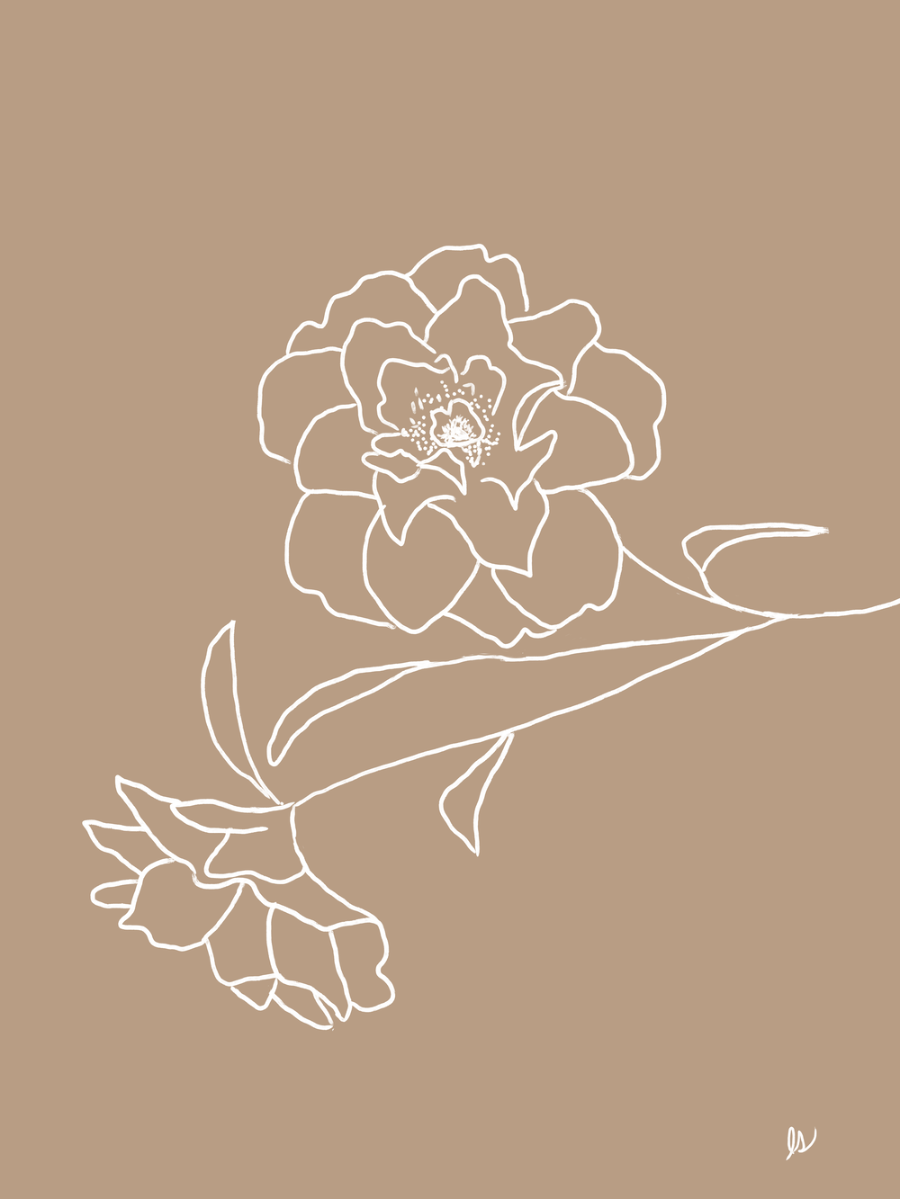 Delicate Floral 7.png
