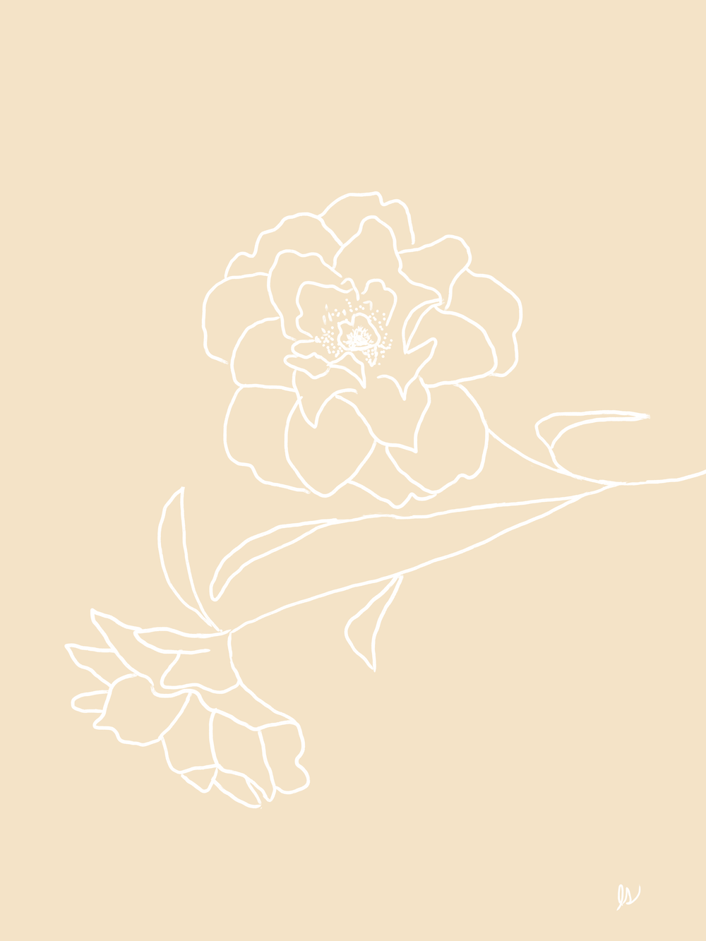 Delicate Floral 8.png