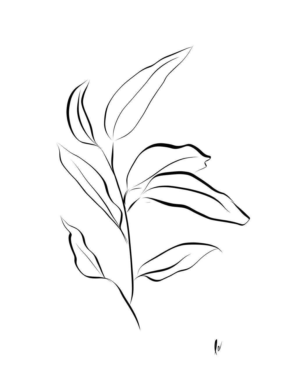 Leaves BnW.png