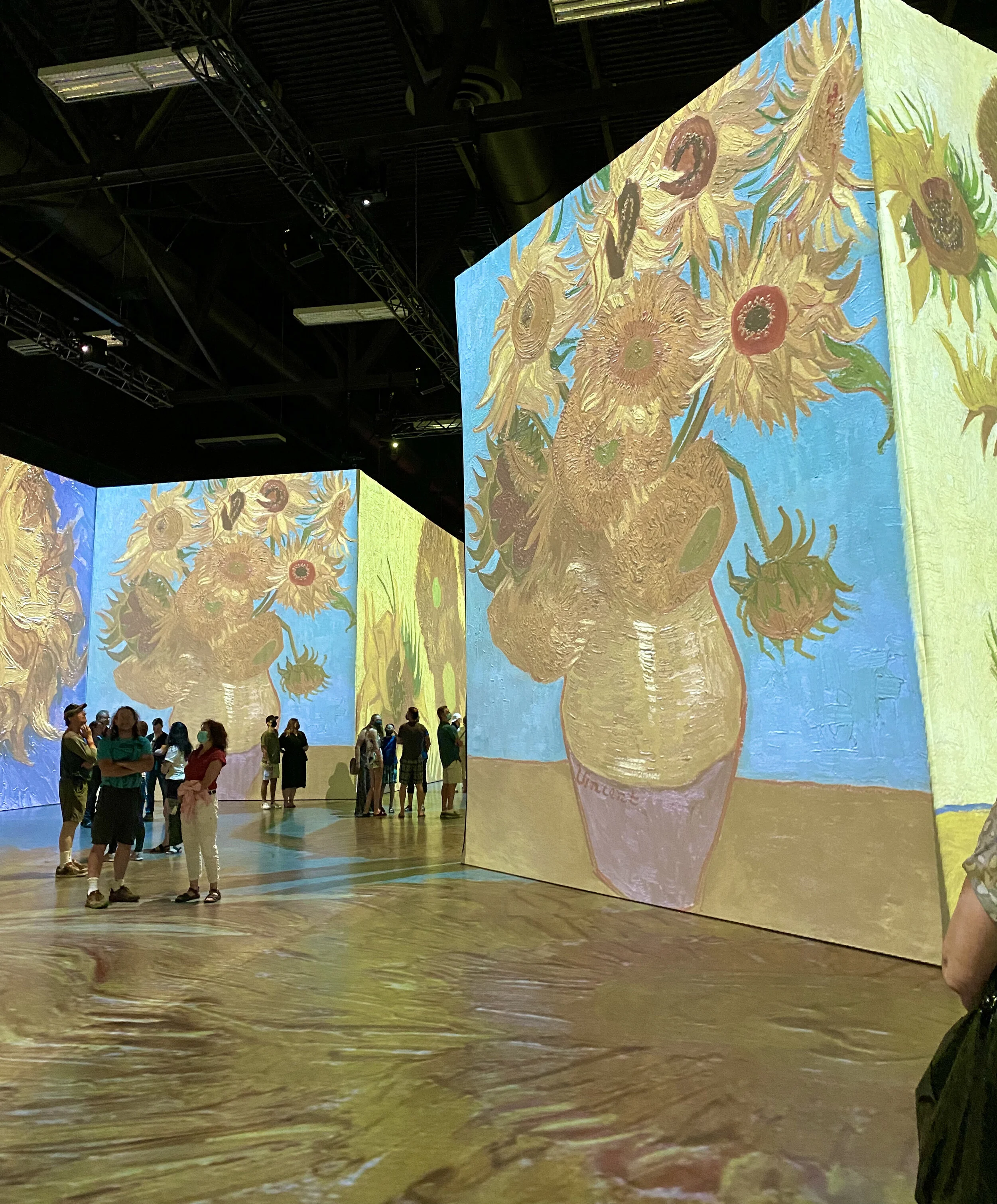 What is the "immersive" Van Gogh experience? — The Anthrotorian