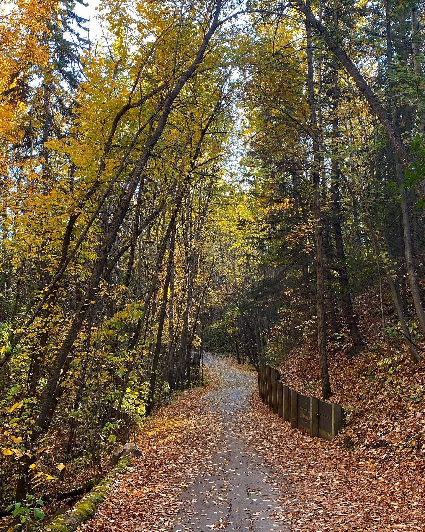 &ldquo;With a deep exhale and a rush of gold, Summer slept so Autumn could unfold&rdquo; &mdash;Liz Fair