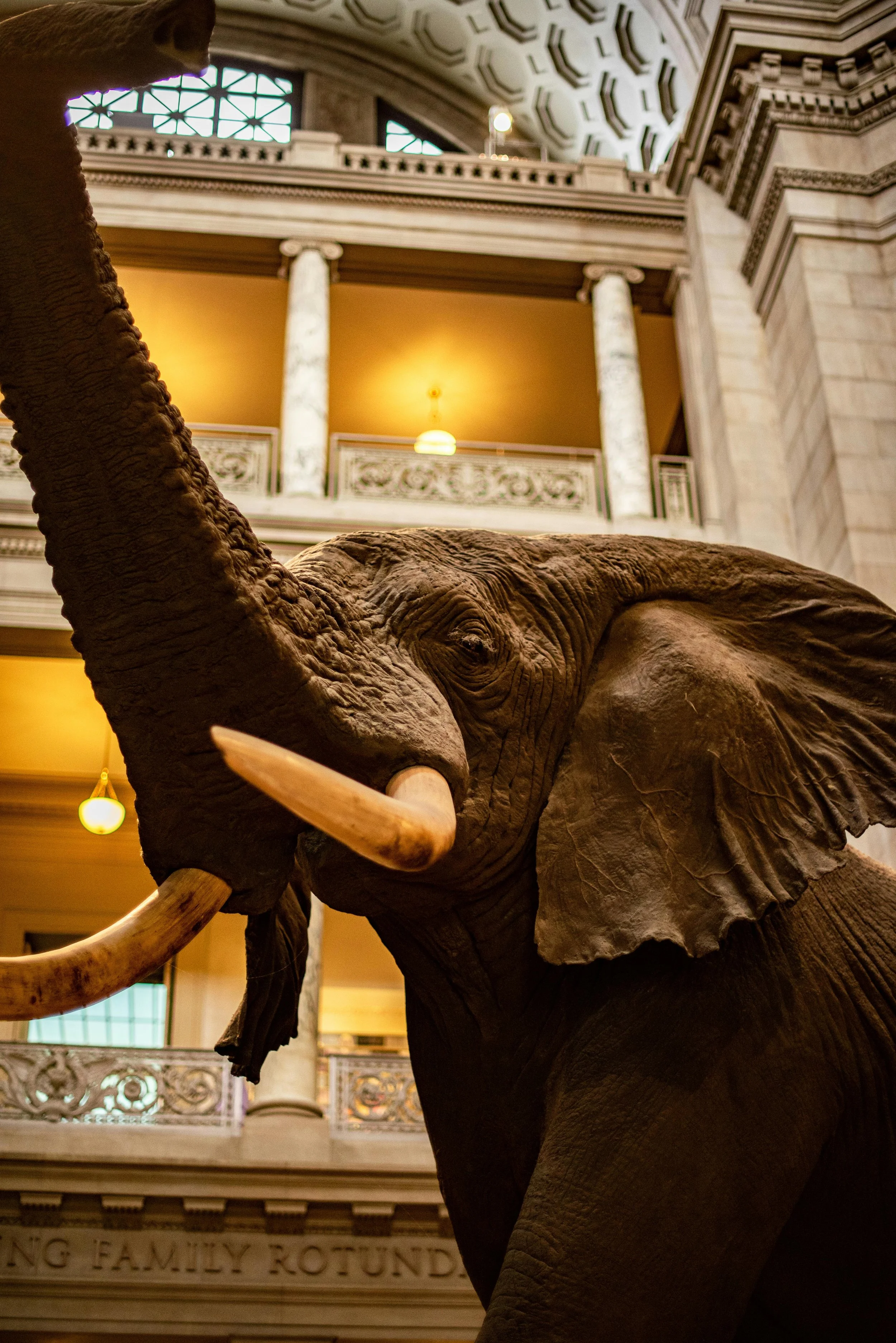 Smithsonian, Washington