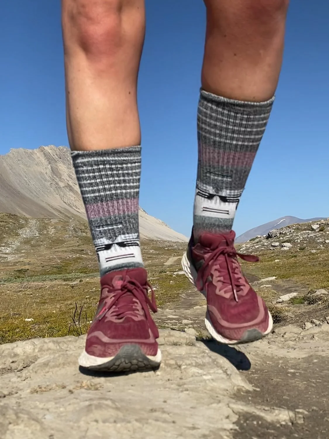 Still one of the most spectacular day hikes in Jasper! Swipe to see my backcountry animal encounter.

(Note: I NEVER approach wild animals. These were on the trail and I was very careful and respectful and walked quickly past them. Took the photo whi