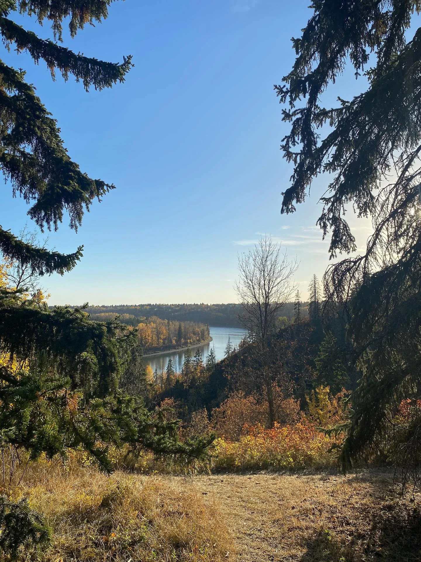 The time of year when I give in and say&hellip; fineeeeeee&hellip;. Fall is here and it&rsquo;s pretty&hellip; I accept it.